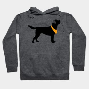 Black Lab Black Labrador Retrievers Pattern in ORANGE Hoodie